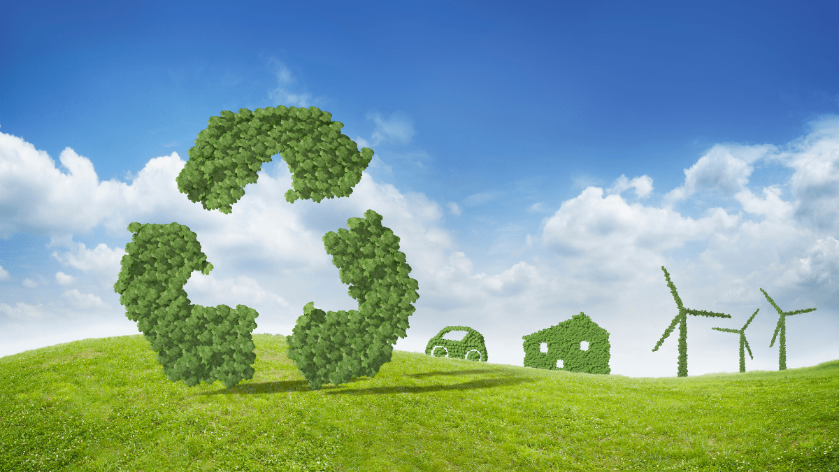 Opinion: Green Financing in 2025: Trends and Projections Driving Solar Energy Growth