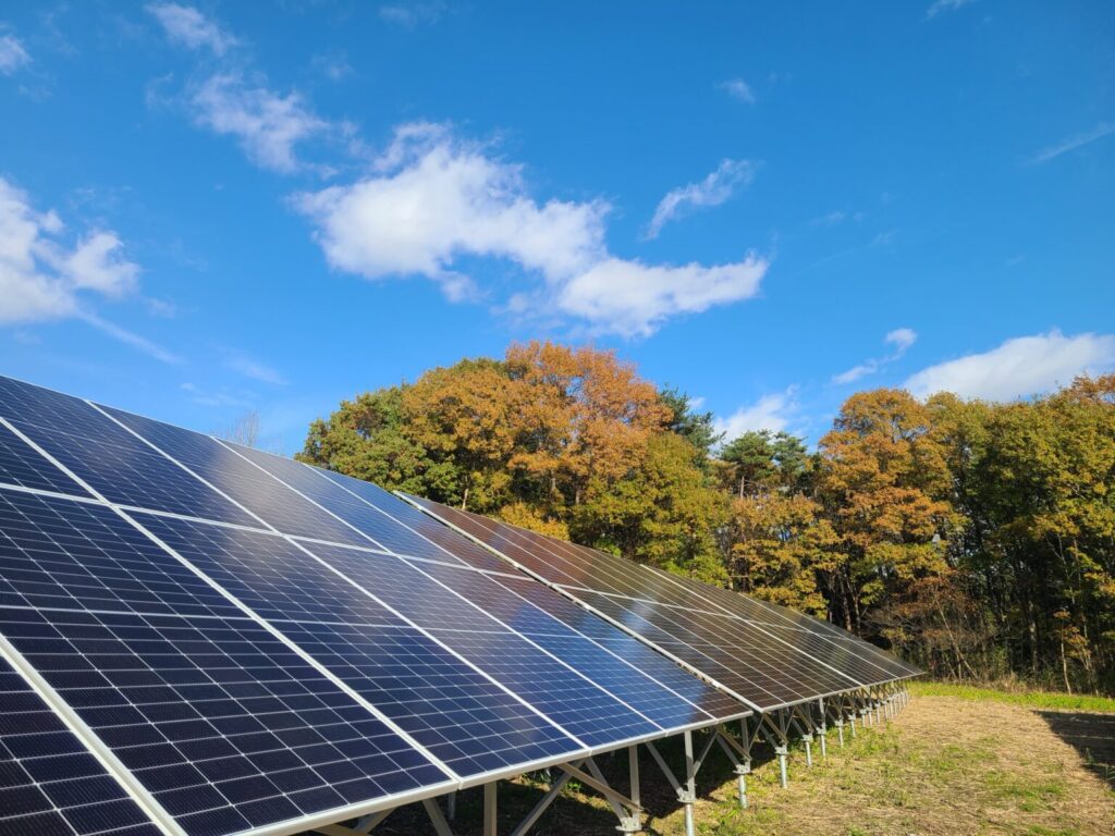 JinkoSolar Sets New World Record with 33.84% Efficiency in Perovskite ...