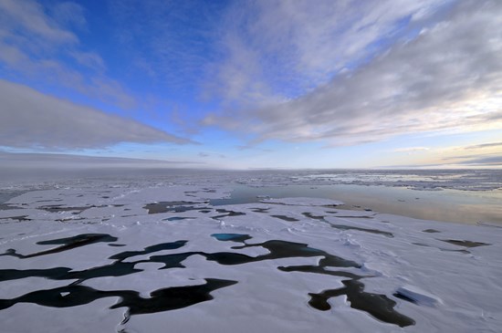 Biden advances final effort to ban Arctic oil drilling