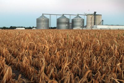 Oil Trade Group Pushes US for National Ethanol Policy After EPA Okays Midwest Expansion