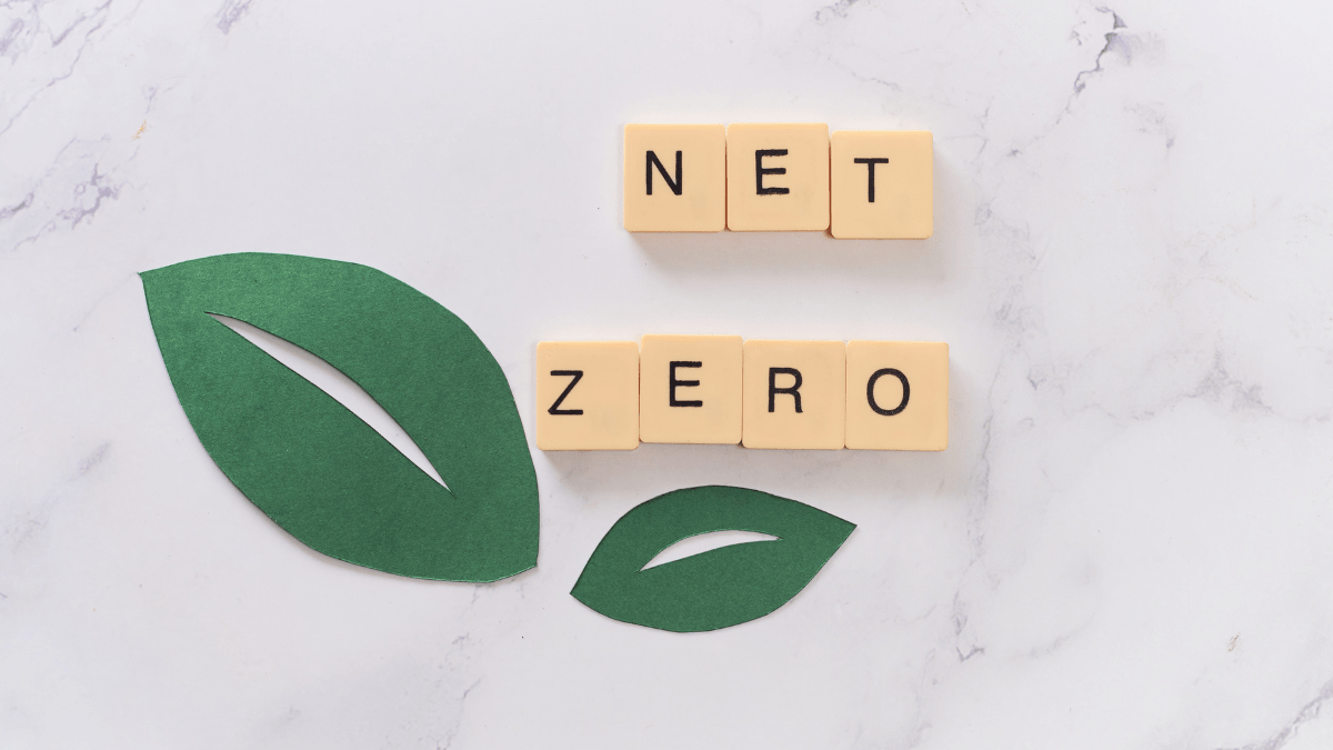 Opinion – Beyond Carbon Offsets Data-Driven Strategies for Achieving True Net Zero in the Energy Sector
