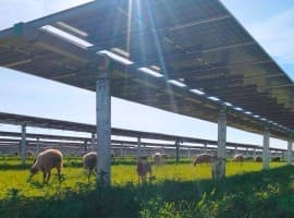 DOGE Hands US DOE The Budget Axe To Slash $10B in Clean Projects