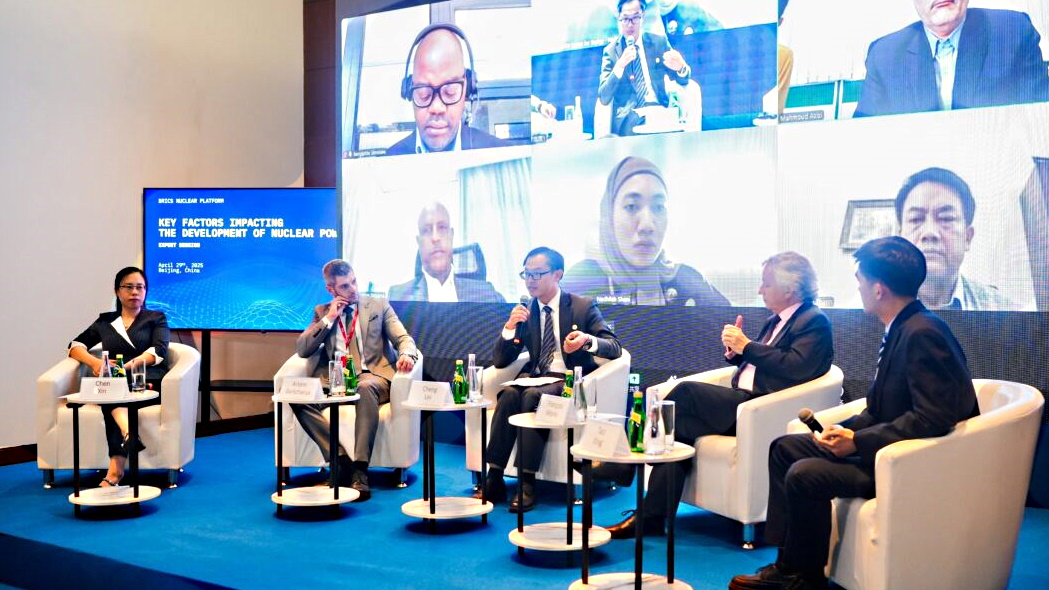 First BRICS expert session on nuclear energy held in China