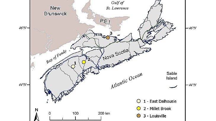 Nova Scotia lifts uranium ban, issues request for proposals
