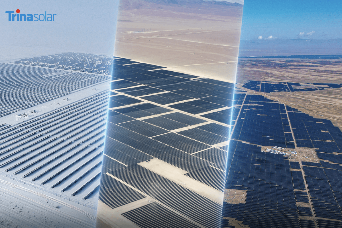 Trinasolar Unites Renewable Energy and Biodiversity Through Scenario-Based Solutions
