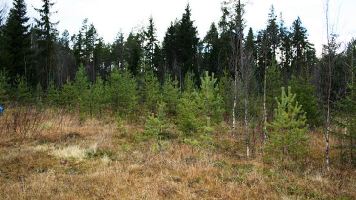 Collaboration aims to develop Swedish uranium deposits