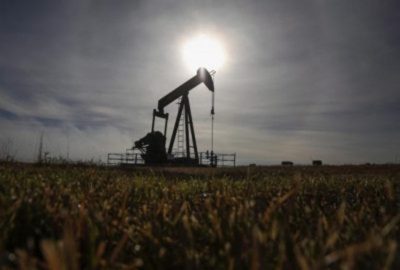 Oil-Eating Microbes Offer Tantalizing Clean Hydrogen Solution