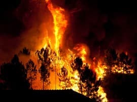 Wildfires Cripple Alberta’s Oil Production