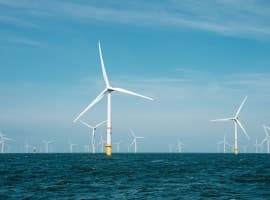 Ørsted Shares Plummet After U.S. Offshore Wind Project Halted