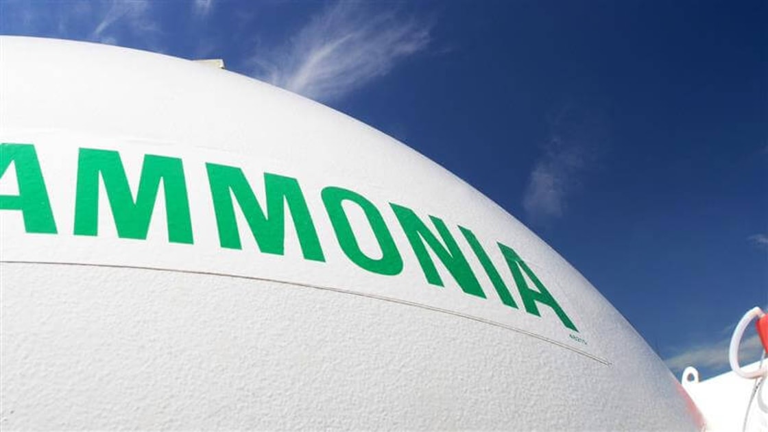 Can SOEC tip the balance on green ammonia costs?