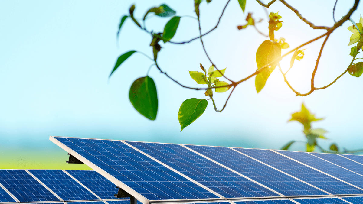 RERC Approves Tariffs For 488 MW Solar Projects Under PM-KUSUM Feeder Level Solarization In Rajasthan