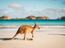 Australia Bets Big on Biofuels With $735 Million Investment