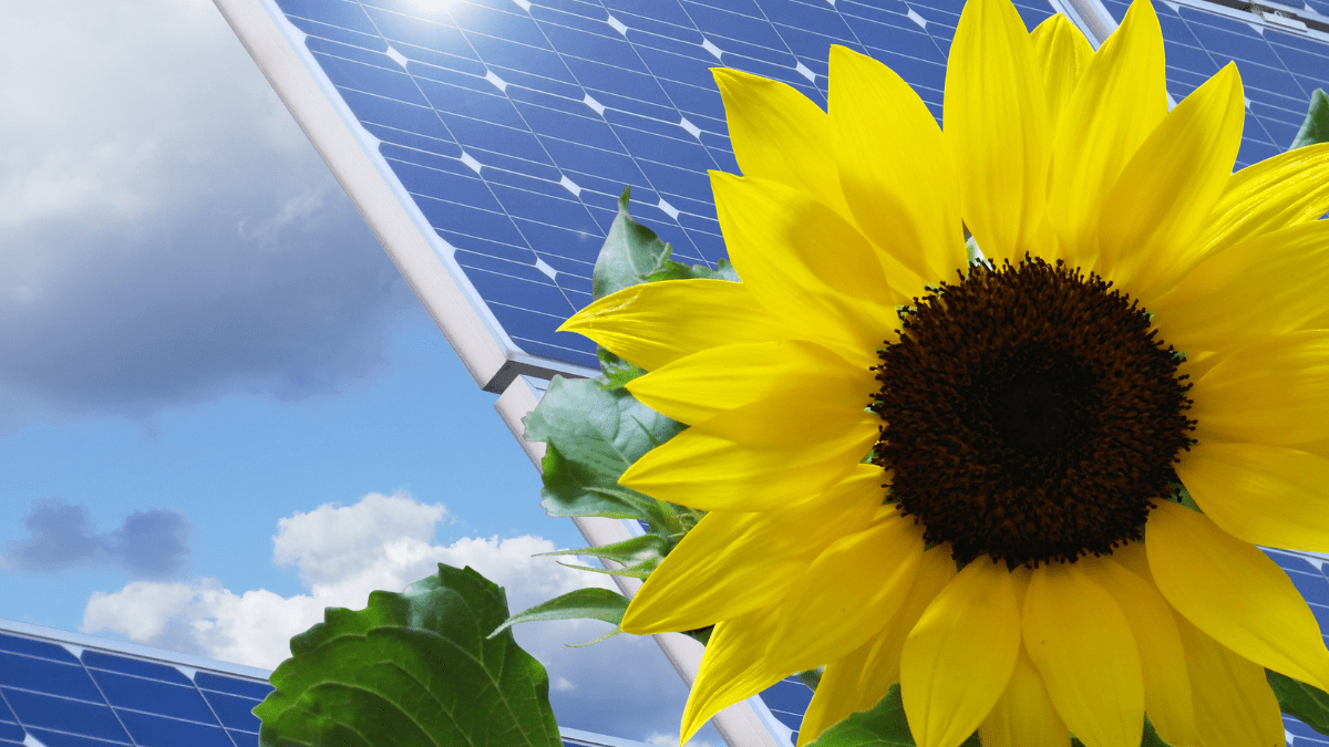 Georgia Power Secures Approval for 1,068 MW of New Solar PPAs Across Georgia