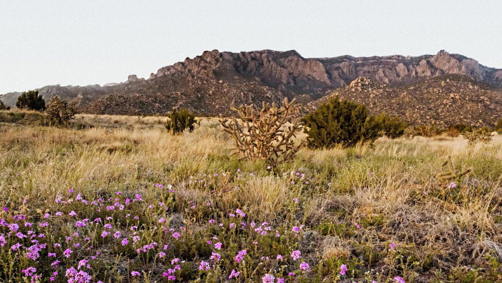 Pacific Fusion to open facility in New Mexico