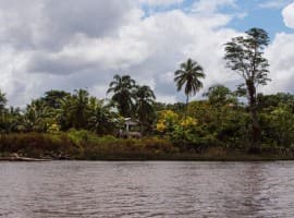 Guyana Gains French Support Amid U.S. Pressure on Venezuela