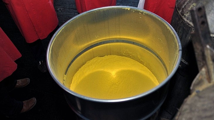 2024 US figures show increase in domestic U purchases