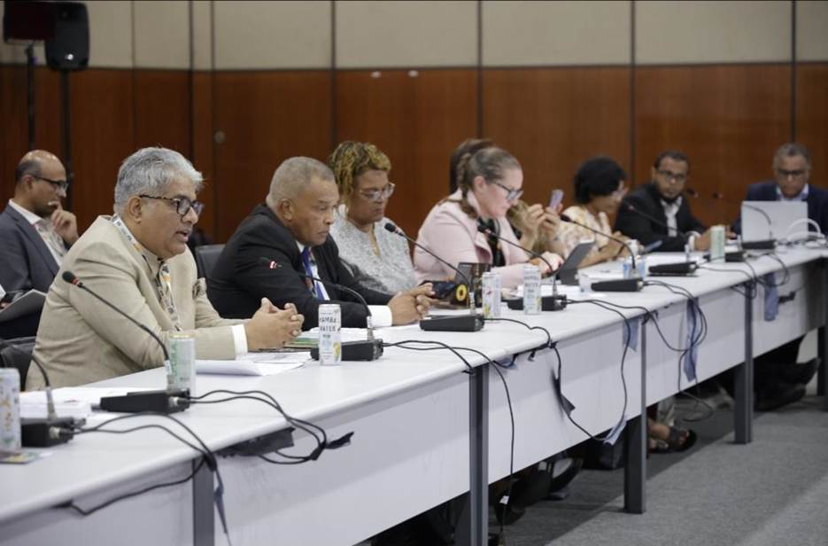 India Champions Solar Energy: Calls for Global Action on Energy Security for SIDS at CoP30