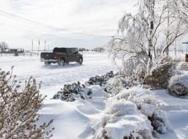 U.S. Natural Gas Prices Hit $6 For First Time Since 2022 amid Big Freeze