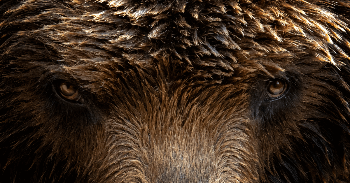 Analyst Says Bearish Gas Risks Growing