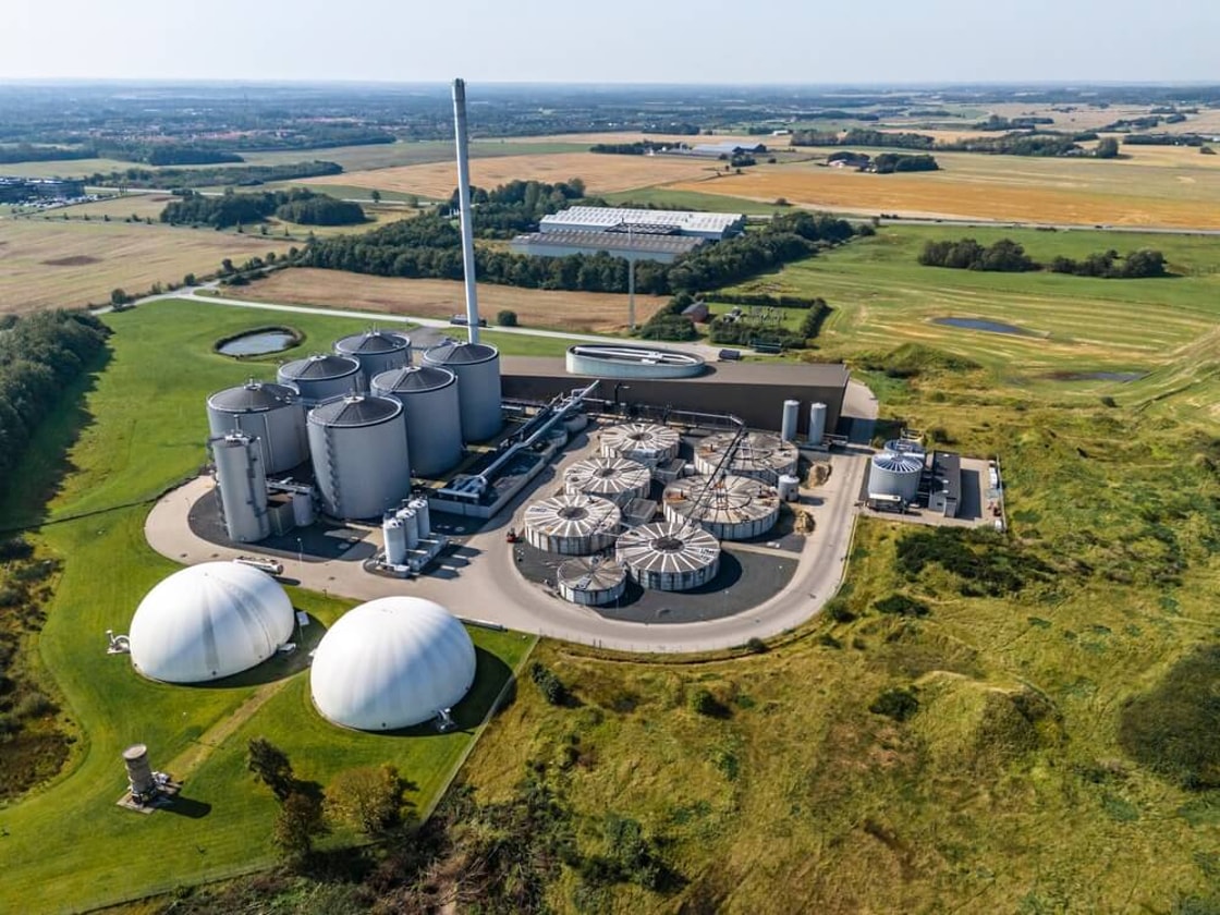 CBAM exemptions risk weakening decarbonisation incentives say EBA