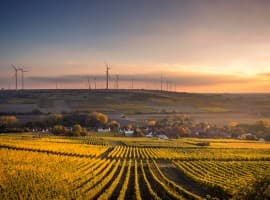 Barclays Warns Grid Constraints Could Strand Renewables Assets