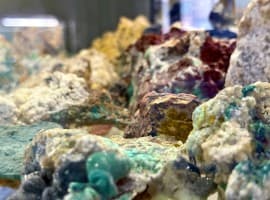 Germany and South Korea Face Rare Earths Supply Shortage