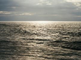 Russia’s Vital Baltic Oil Hubs Crippled by Ukrainian Drone Campaign