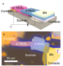 New 2D Materials Enable High-Efficiency Solar on Any Surface