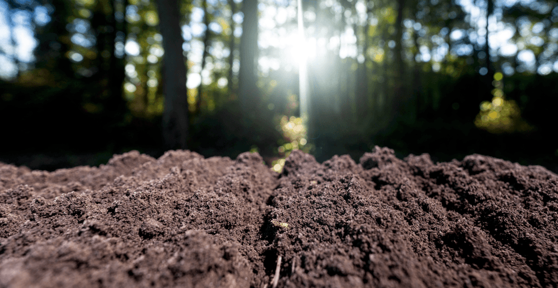 Industry bodies call on EU to recognise organic compost and digestate