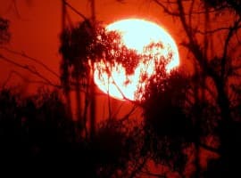 Heatwave Boosts India’s Power Demand to Record High