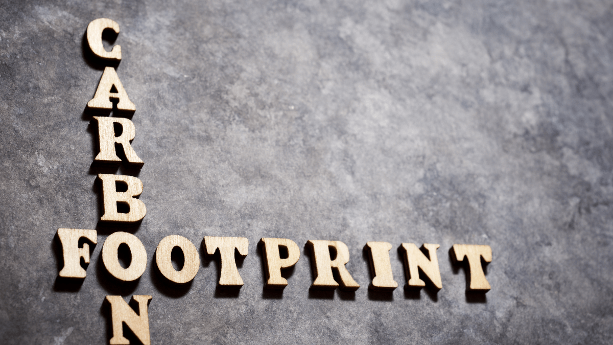 Amazon Commits $30 Million To Carbon Credit Deal Transforming Sustainable Rice Farming In India