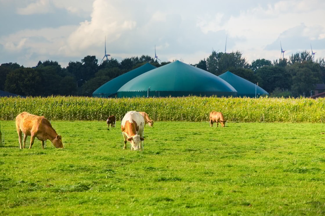 EnviTec biogas completes second biomethane project in Slovakia