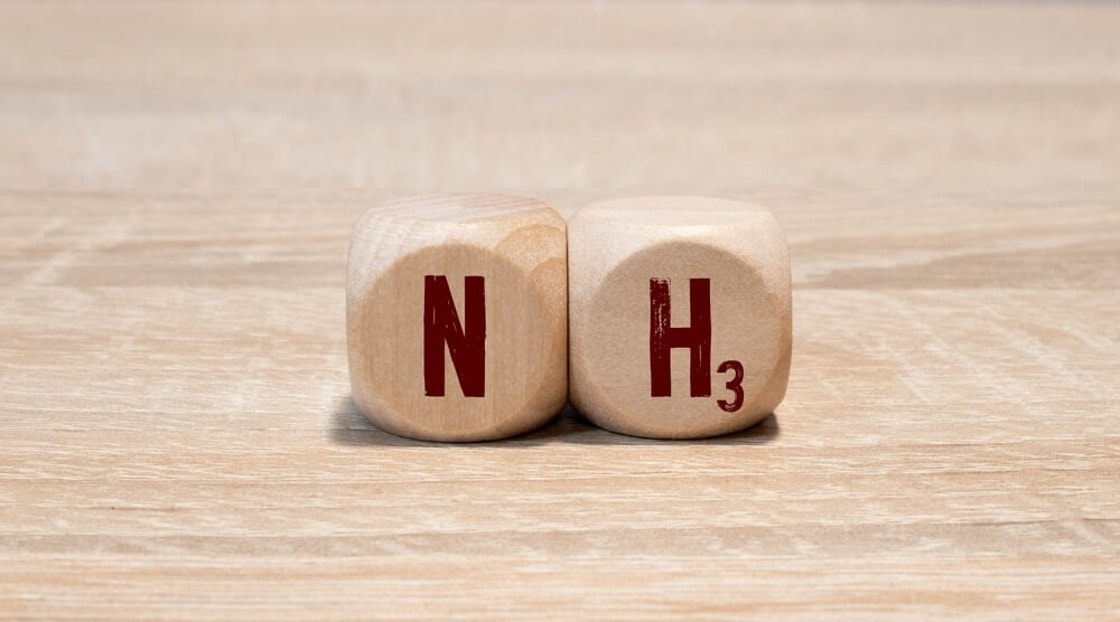 Thyssenkrupp Uhde wins FEED for BFI ammonia expansion