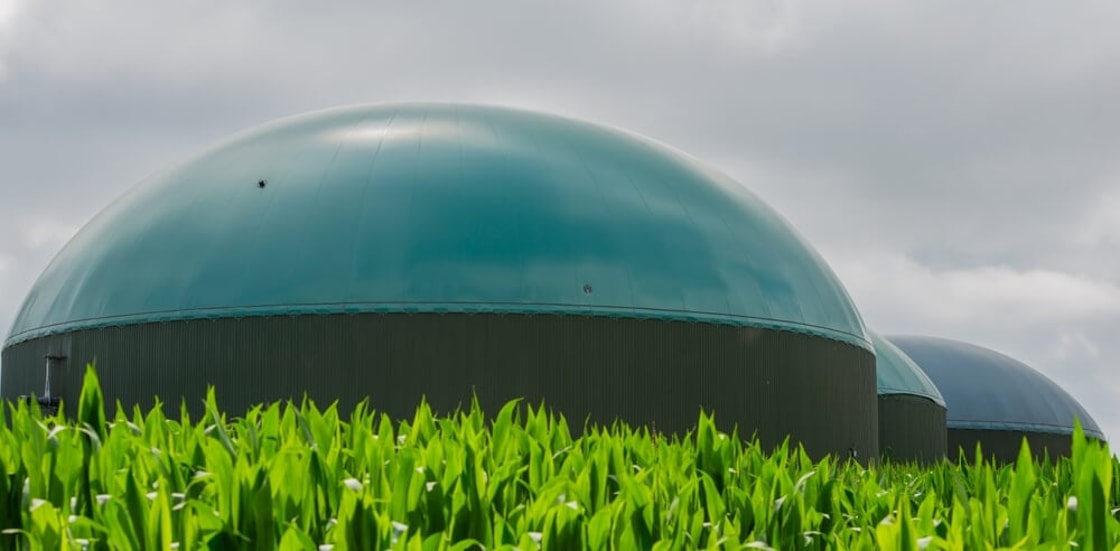 US scales up biogas opportunity, ABC data shows