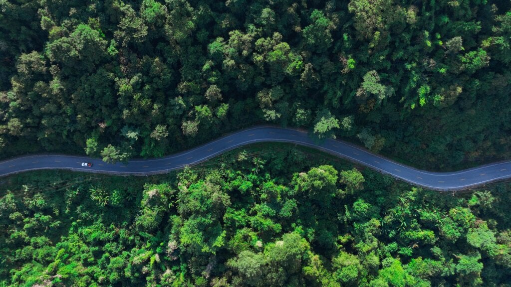 Recalibration and resilience to go the distance