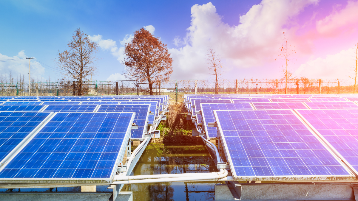 Iberdrola Wraps Up First Phase Of Noronha Verde With 4,800 Solar Panels In Place