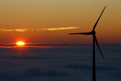 Trump Administration Cites National Security to Halt US Wind Farm Projects