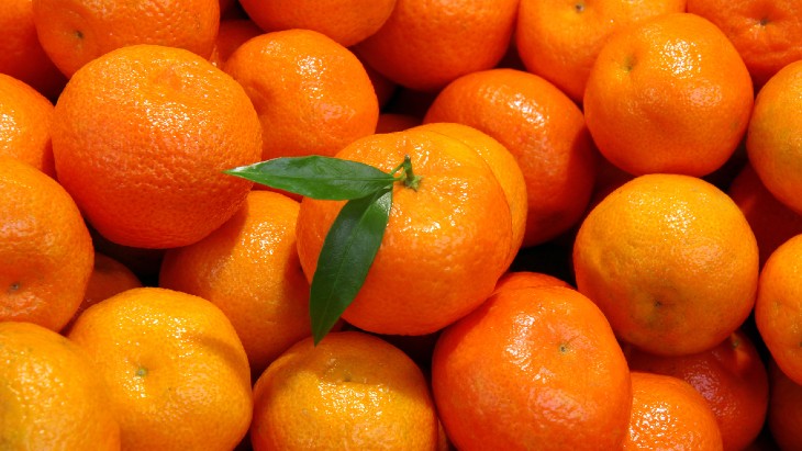 Tangerine peel’s radiation health benefits researched