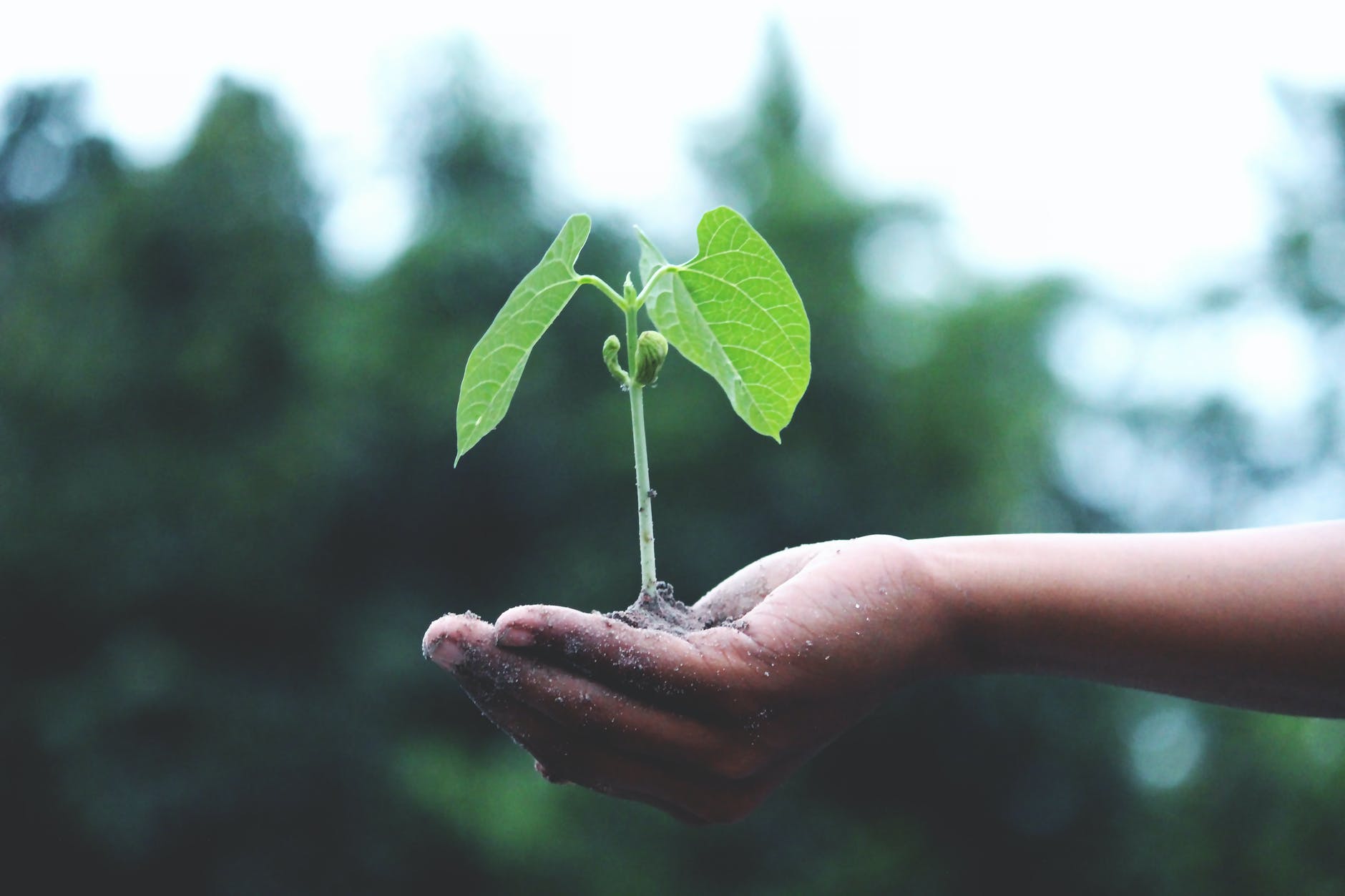 EBRD Supports Sustainable Agriculture Development Through Green Financing In Mongolia