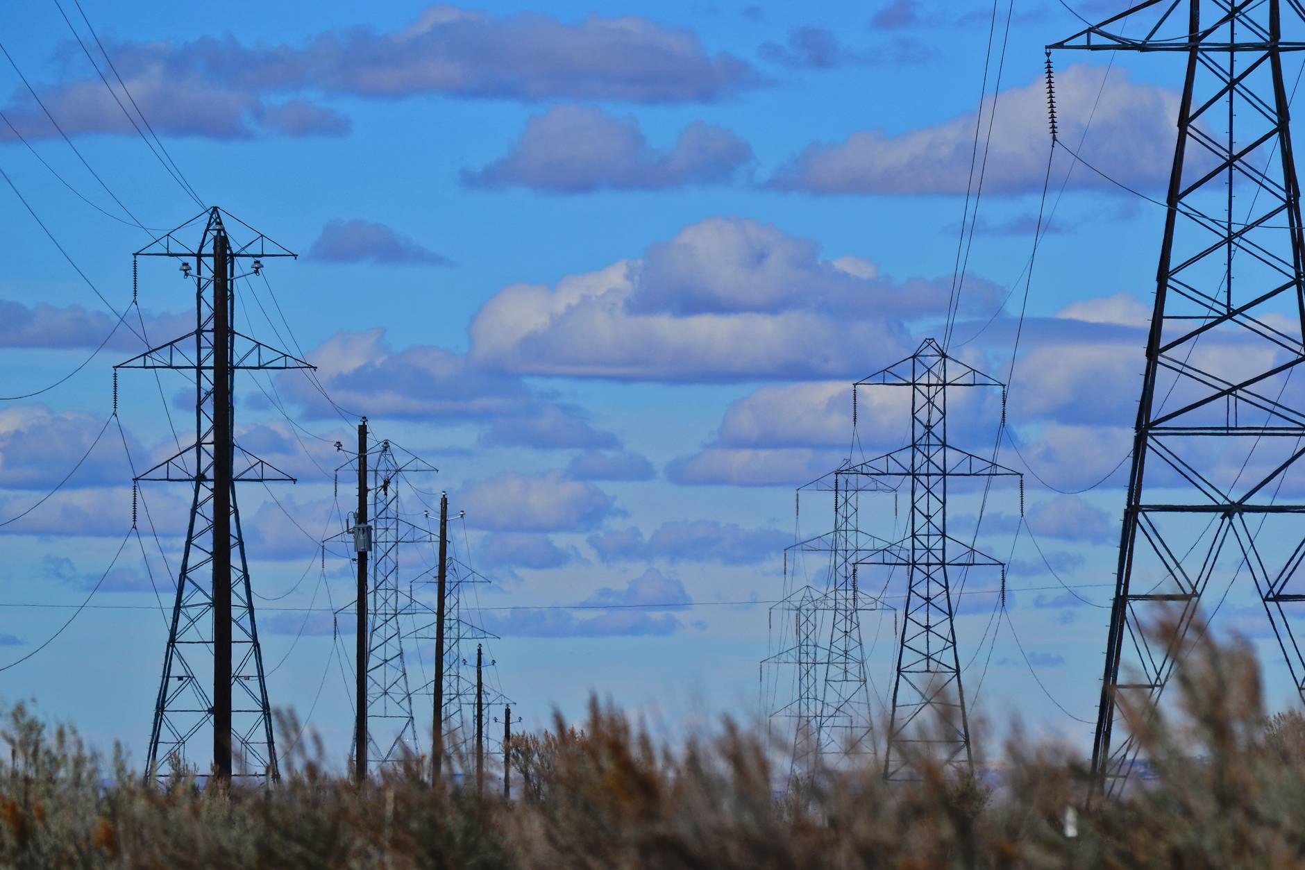 Delhi Government Plans CAG Audit Of Discoms Over ₹38,500 Crore Regulatory Assets