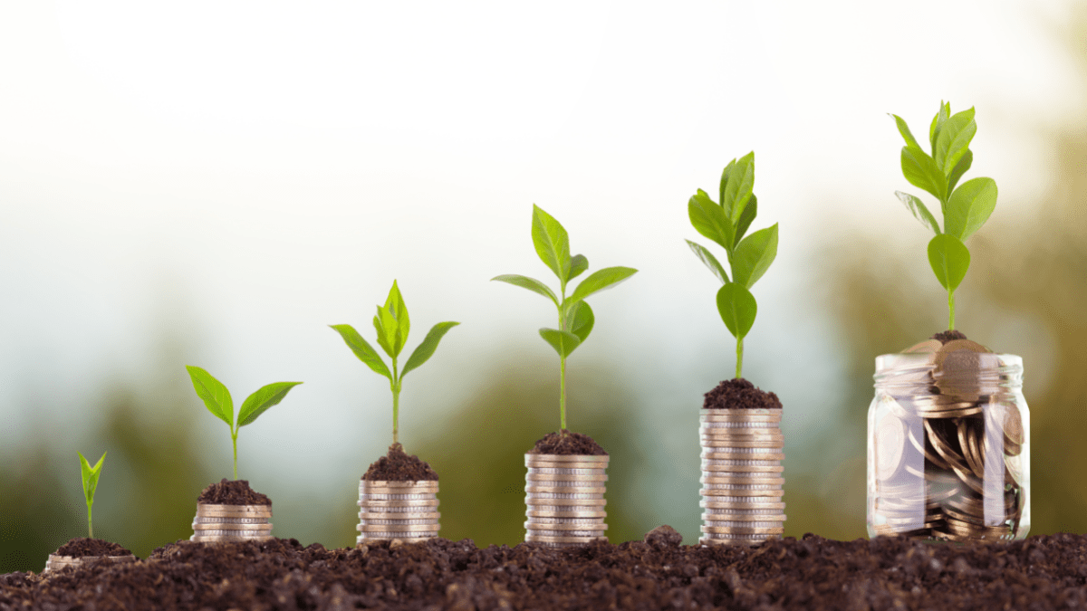 Maruti Suzuki Expands Industrial Decarbonization Efforts with ₹925 Crore Green Energy Push