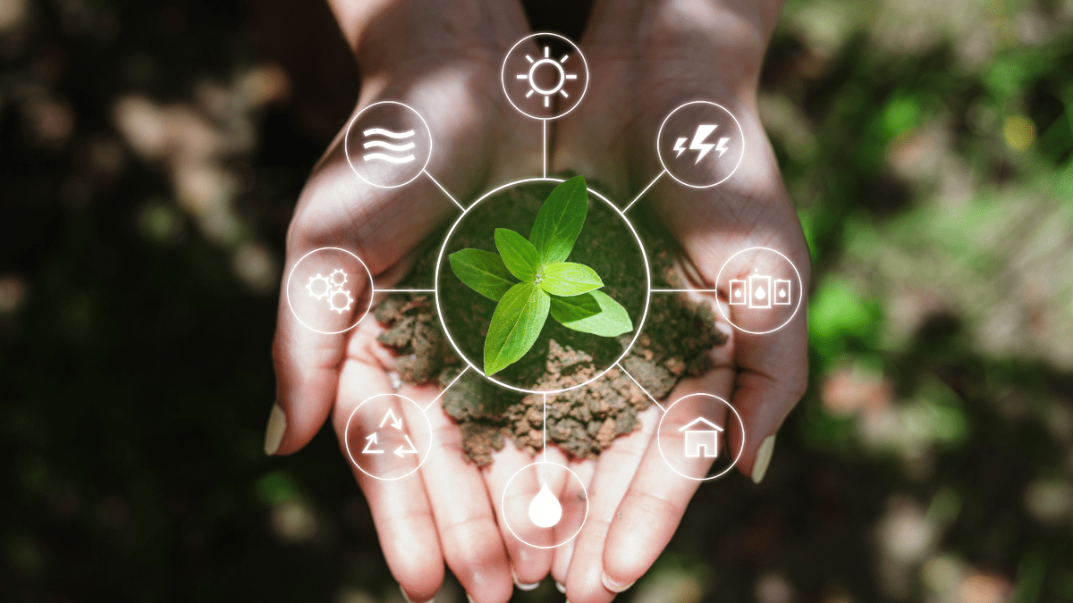 A.P. Moller Capital Expands Renewable Energy Push with South Africa Acquisition Deal