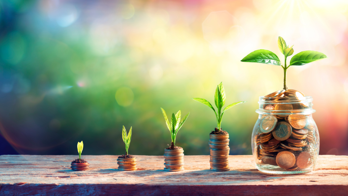 ENERTRAG Announces €1.1 Billion Investment Plan to Expand Renewable Energy and Storage Capacity in France