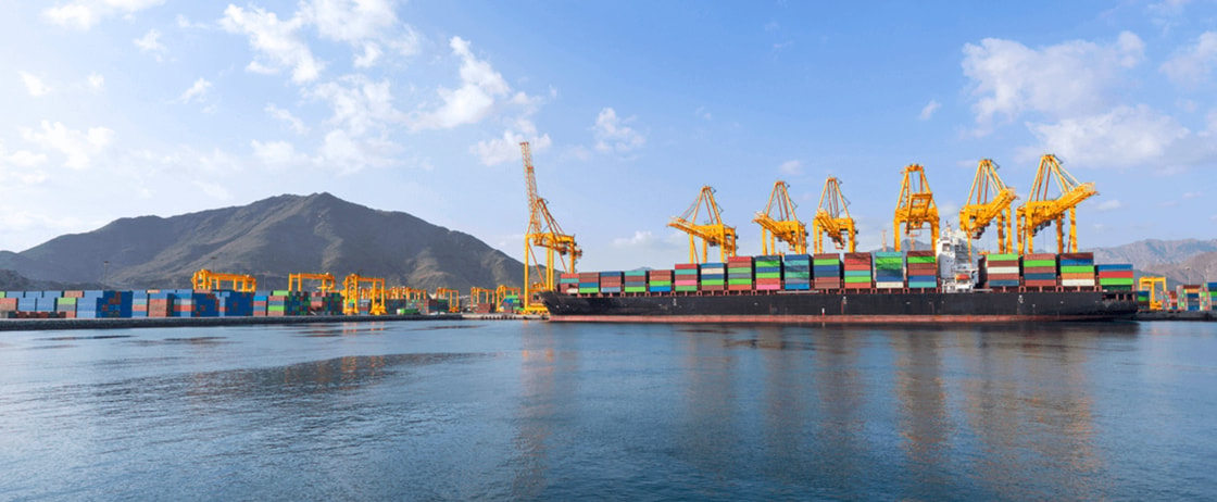 UAE devises port expansion plan to cut strait dependency