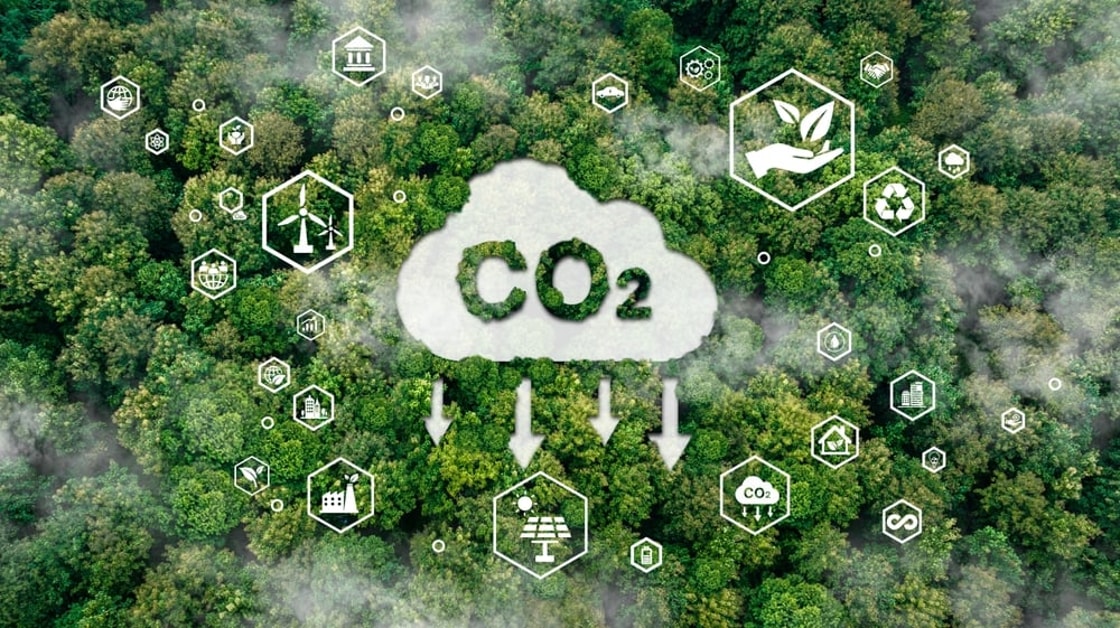 Carbon removal boosted by funding but macro targets slip