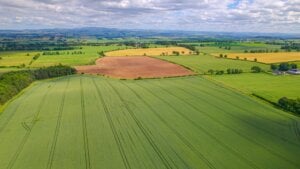 Scotland could meet half of gas demand and add £10bn to economy with biomethane