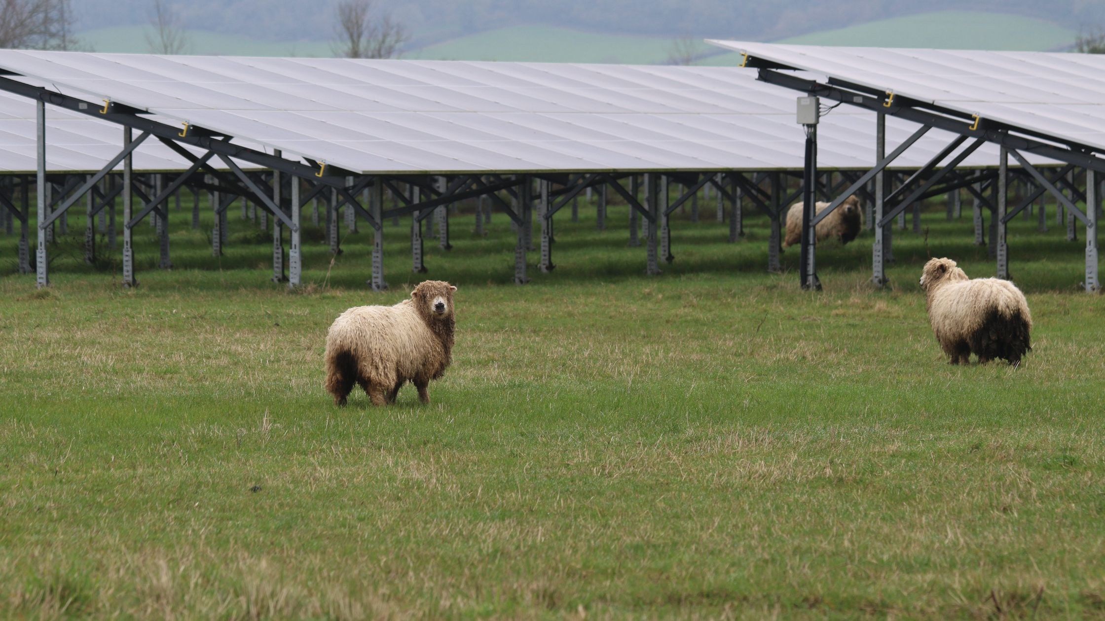 BSR Secures £130 Million Mezzanine Financing from Eiffel Investment Group to Accelerate UK and Australia Renewable Energy Portfolio