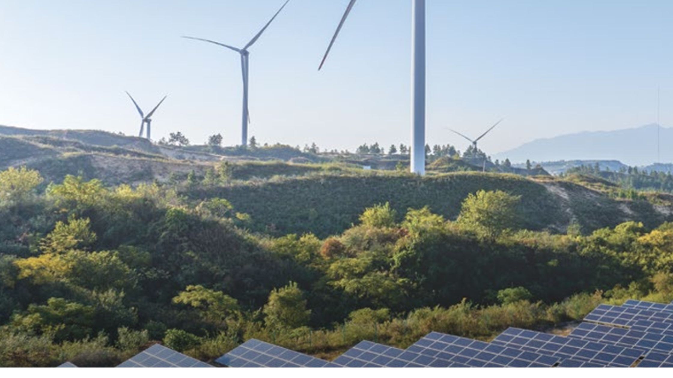 Torrent Power Targets 10 GW Renewable Capacity by 2030, Advances 4 GW Project Pipeline