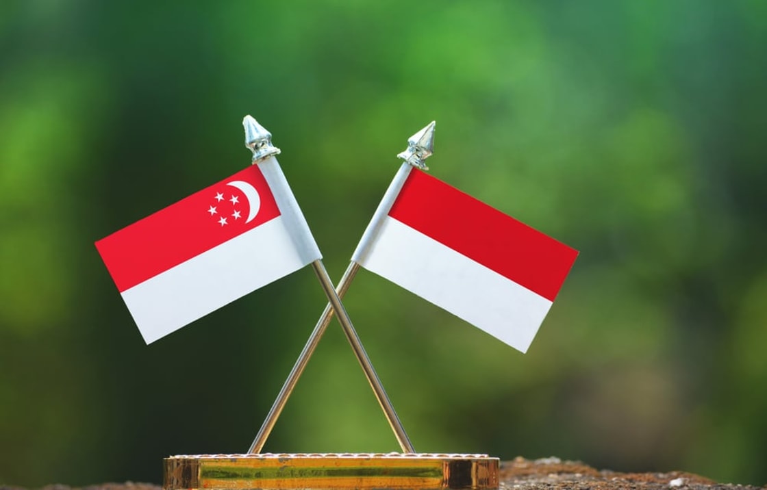 Indonesia and Singapore explore CCS and green industry potential