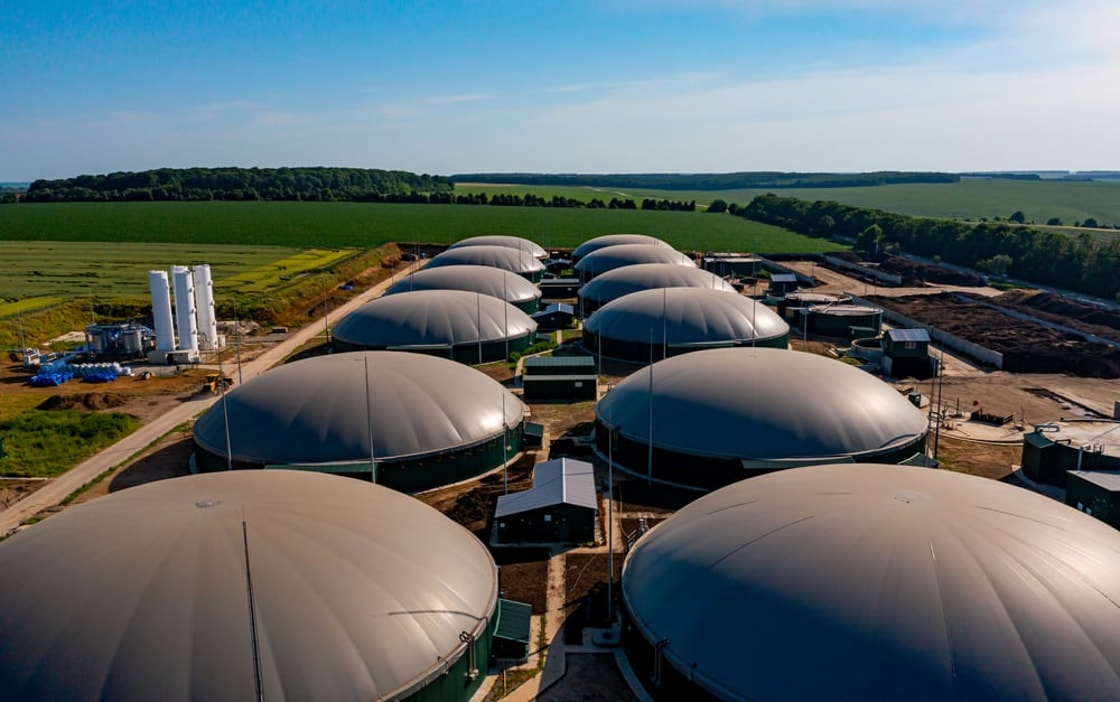 India taps dairy sector as next frontier for biomethane with Assam project